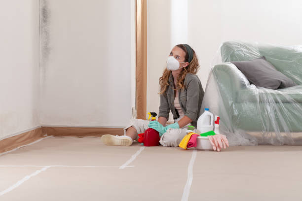 Reliable Mold Remediation contractor in Dunellen, NJ by 24 Hour Mold Removal
